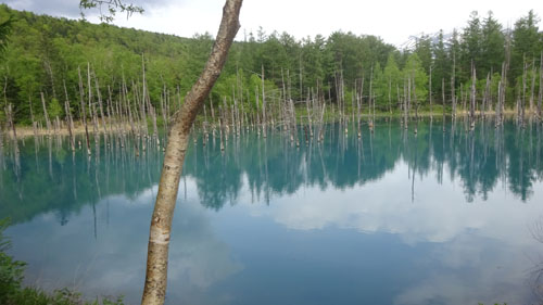 Blue Pond